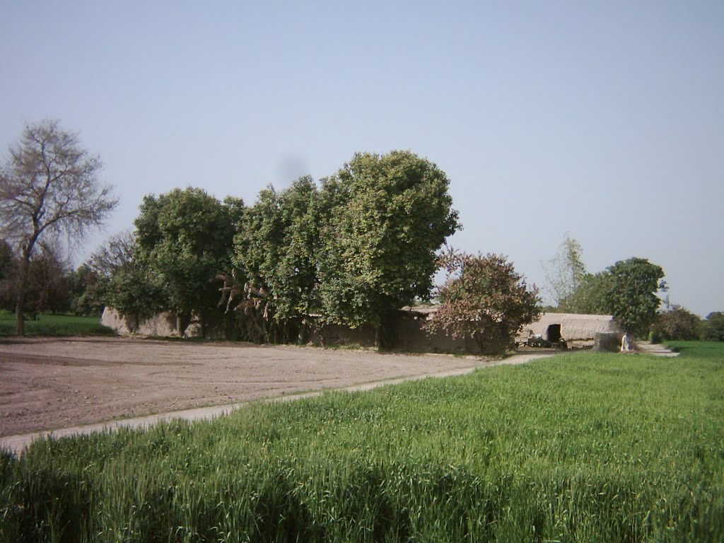 Village, Renala Khurd, Pakistan