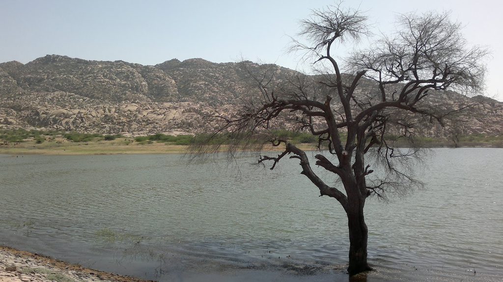 Bhodesar Lake, Chachro