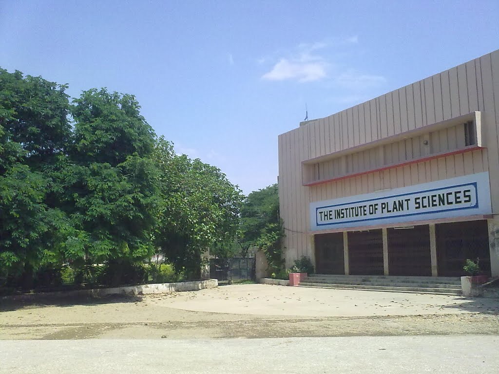 University of Sindh Jamshoro