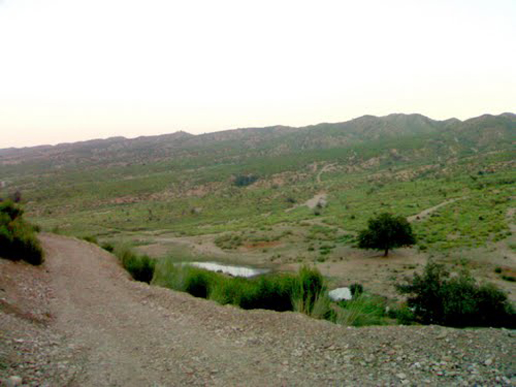 Bara Tehsil Peshawar Pakistan