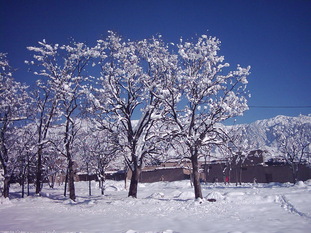Winter at Parachinar