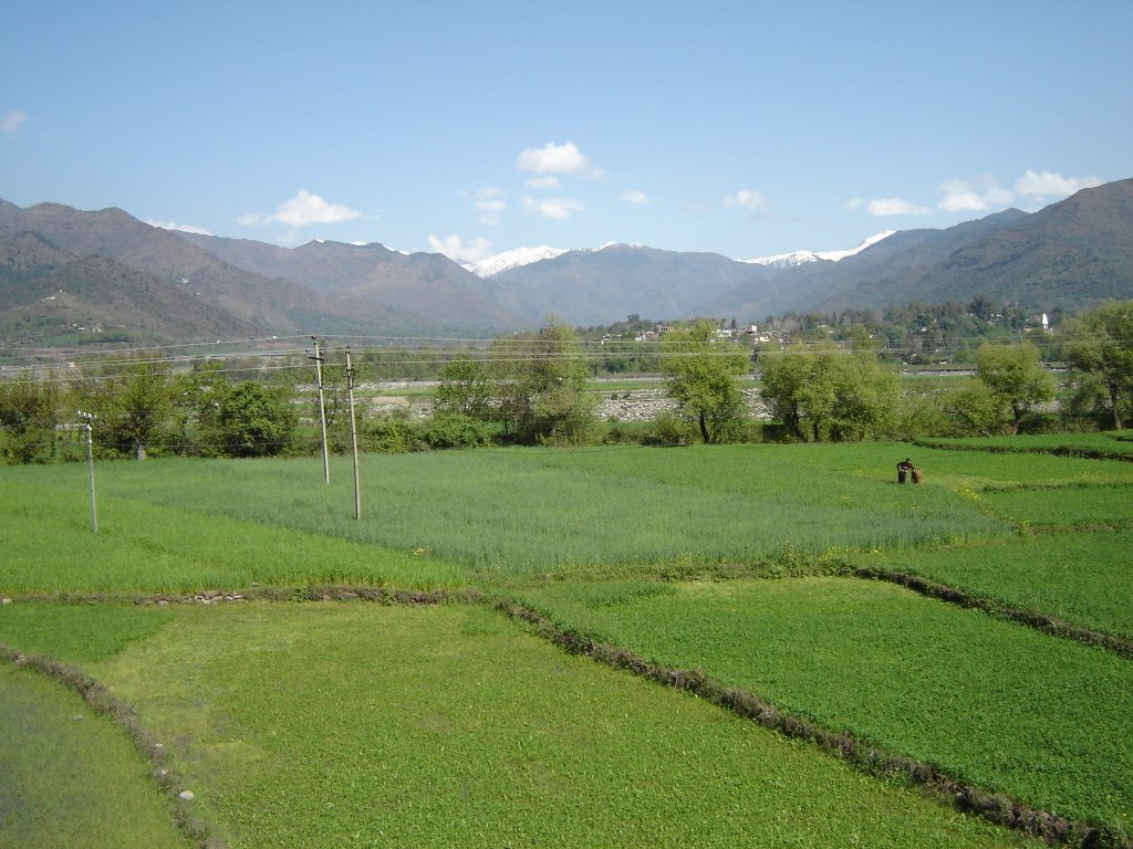 Poonch Valley
