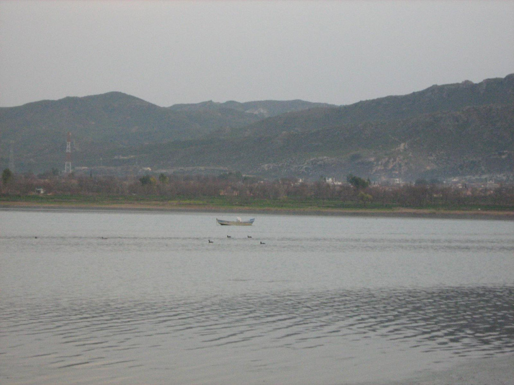 Khushab - Uchali Lake - Punjab  - Pakistan